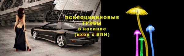 метадон Няндома