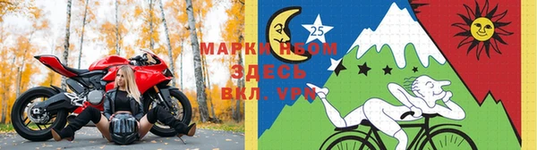 дурь Алексеевка
