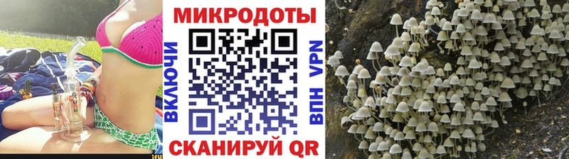 omg ссылки  Талица  Псилоцибиновые грибы Cubensis 